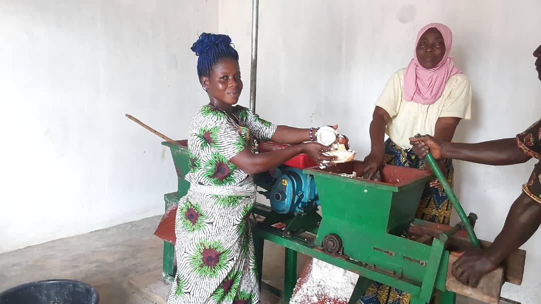 WACA Project Empowers Women Coconut Processors in Boko, Togo with New Equipment