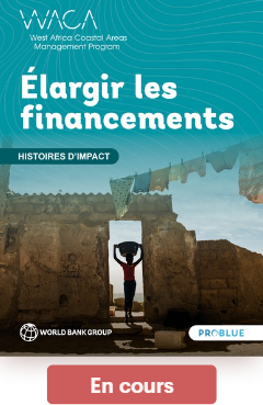 impact stories
