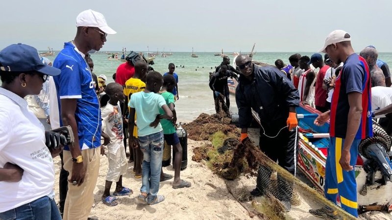 clean up WACA Goree, Senegal