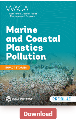 Marine and Coastal Plastic Pollution