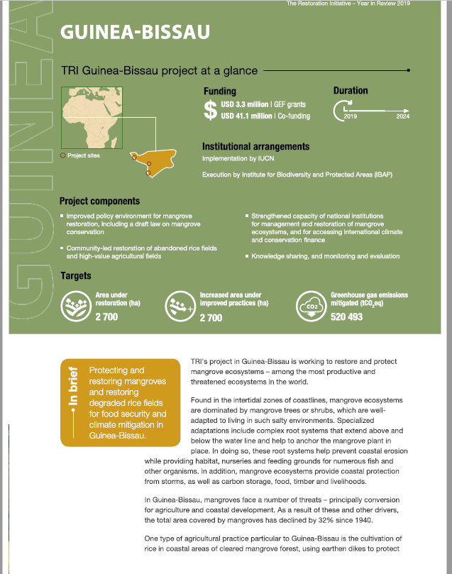 The Restoration Initiative (TRI) 